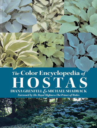 Small Hostas 01